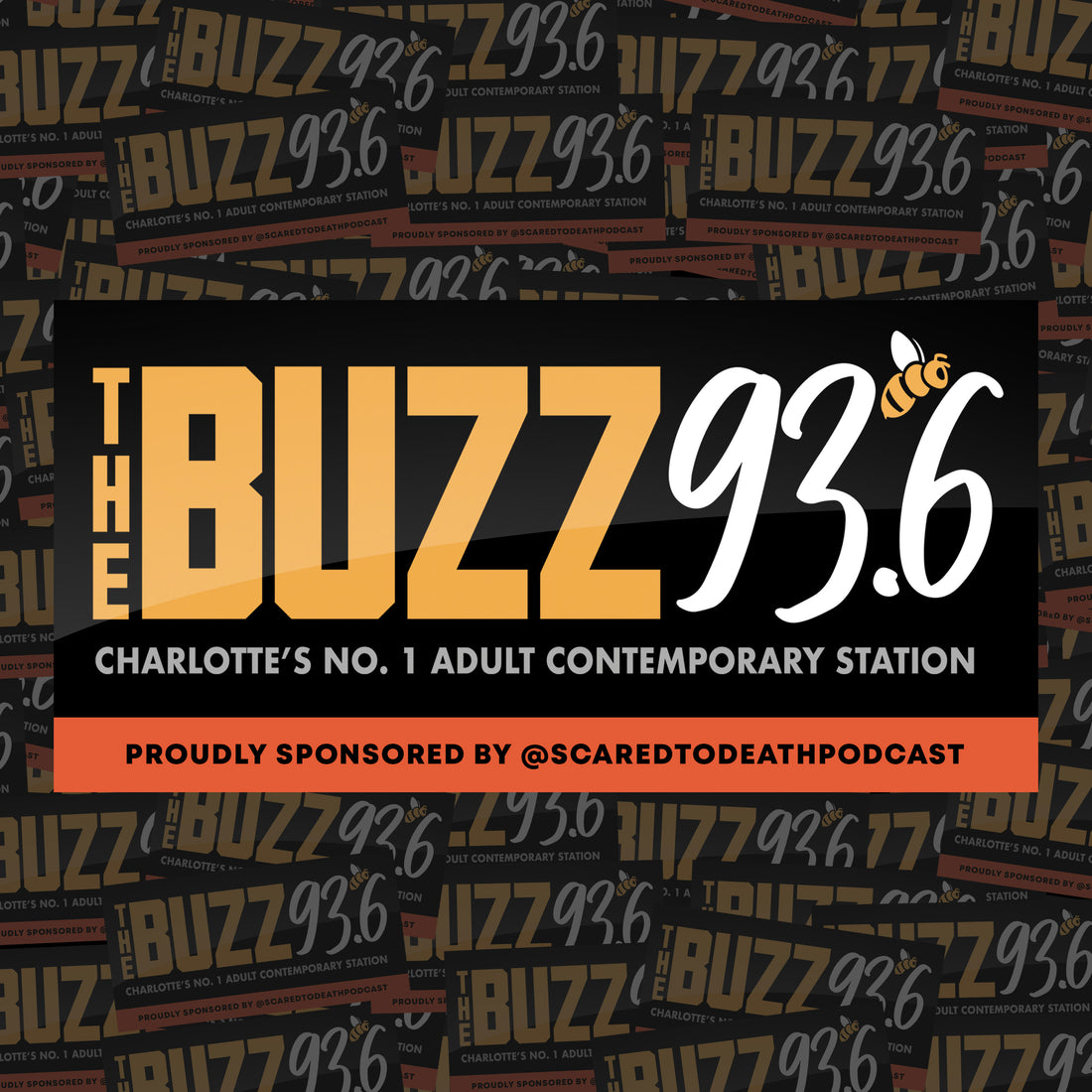 The Buzz 93.6 Bumper Sticker